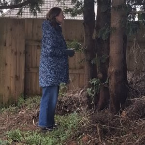 tree orig